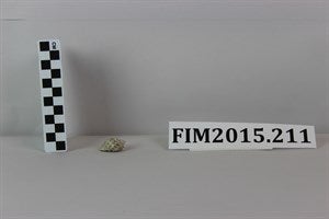 Image description is not available for FIM2015.213